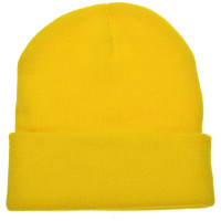 Geel (PMS 101C) / Geel